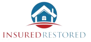 a blue and red logo